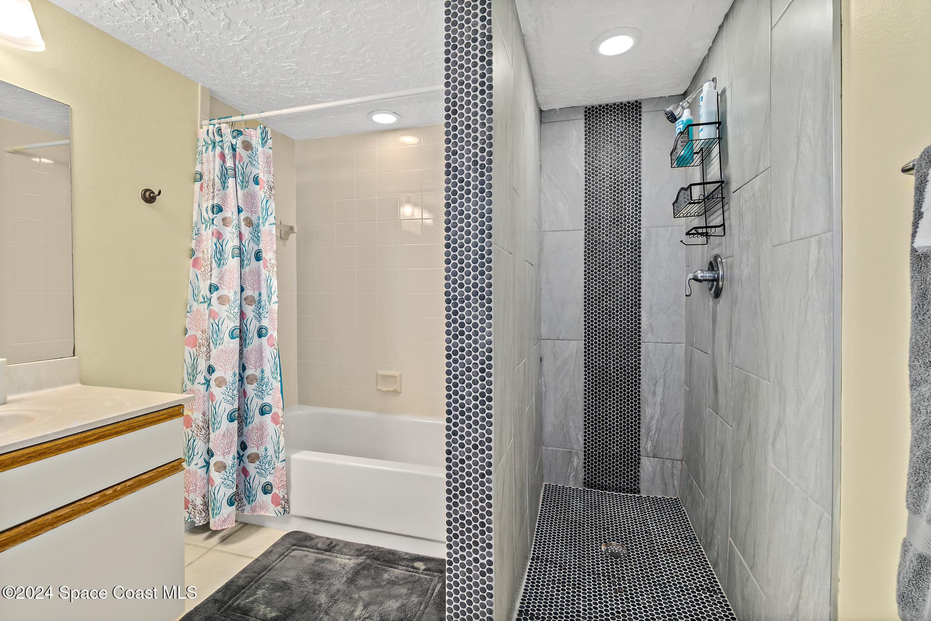 8600 Ridgewood Avenue 1311 photo 7