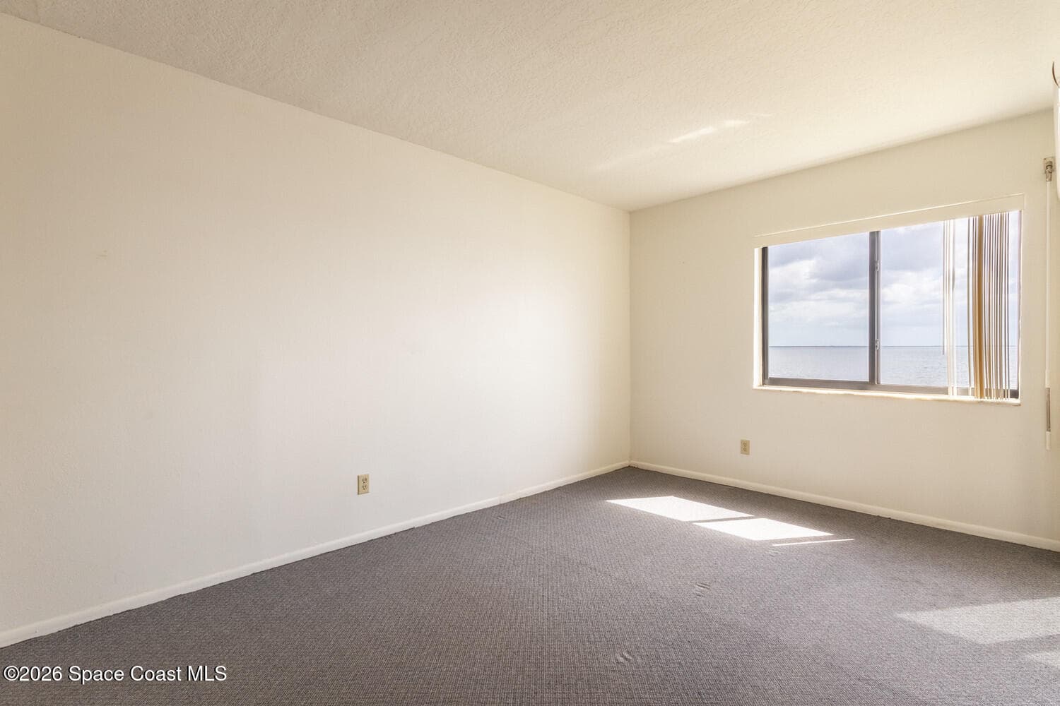 2469 S Washington Avenue C201 photo 19