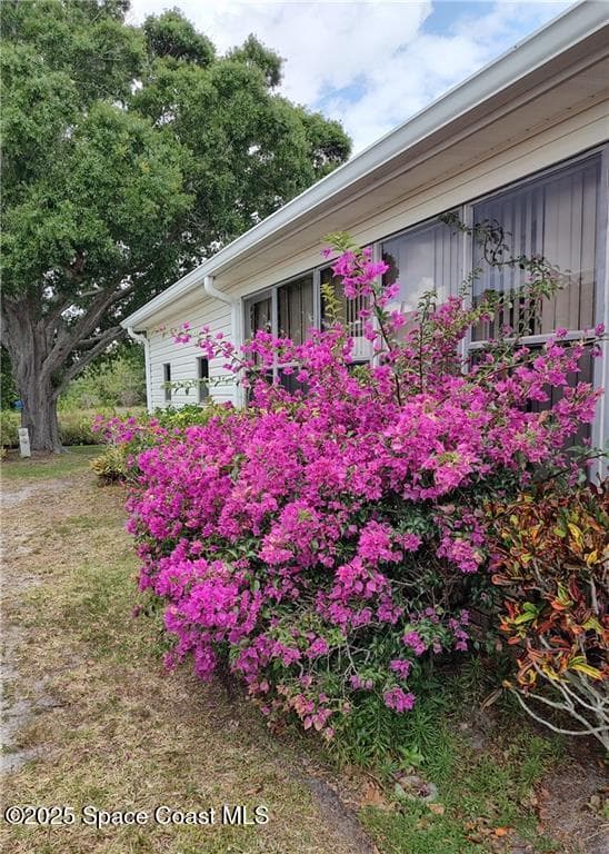 451 Papaya Circle photo 9
