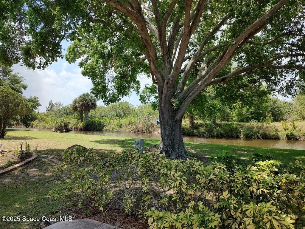 451 Papaya Circle photo 22