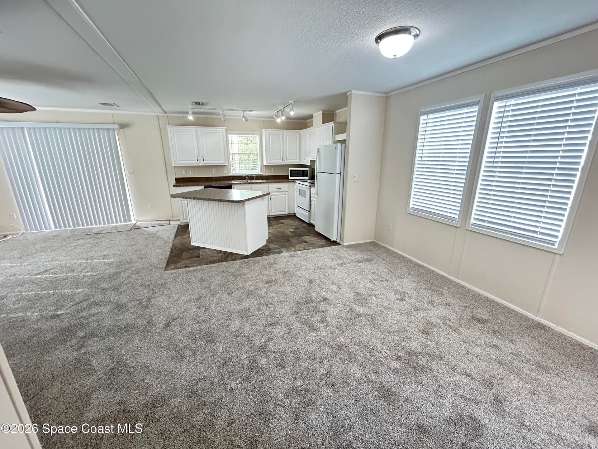 117 Lewis Street photo 7