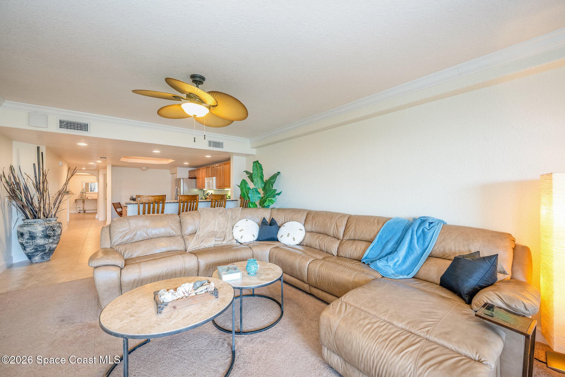 807 Mystic Drive C-210 photo 4