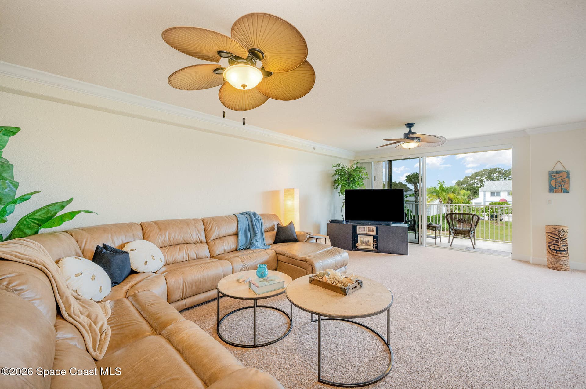 807 Mystic Drive C-210 photo 5