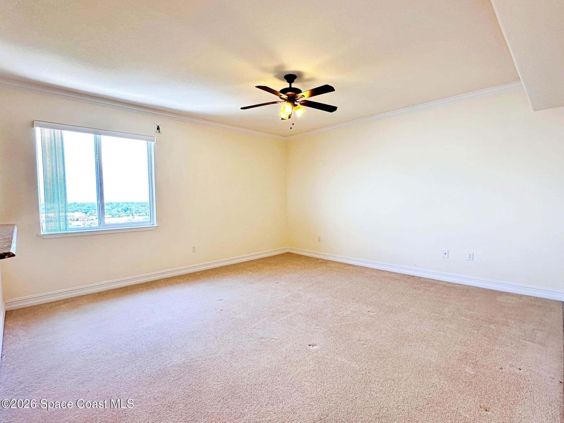 3205 S Washington Avenue 903b photo 20