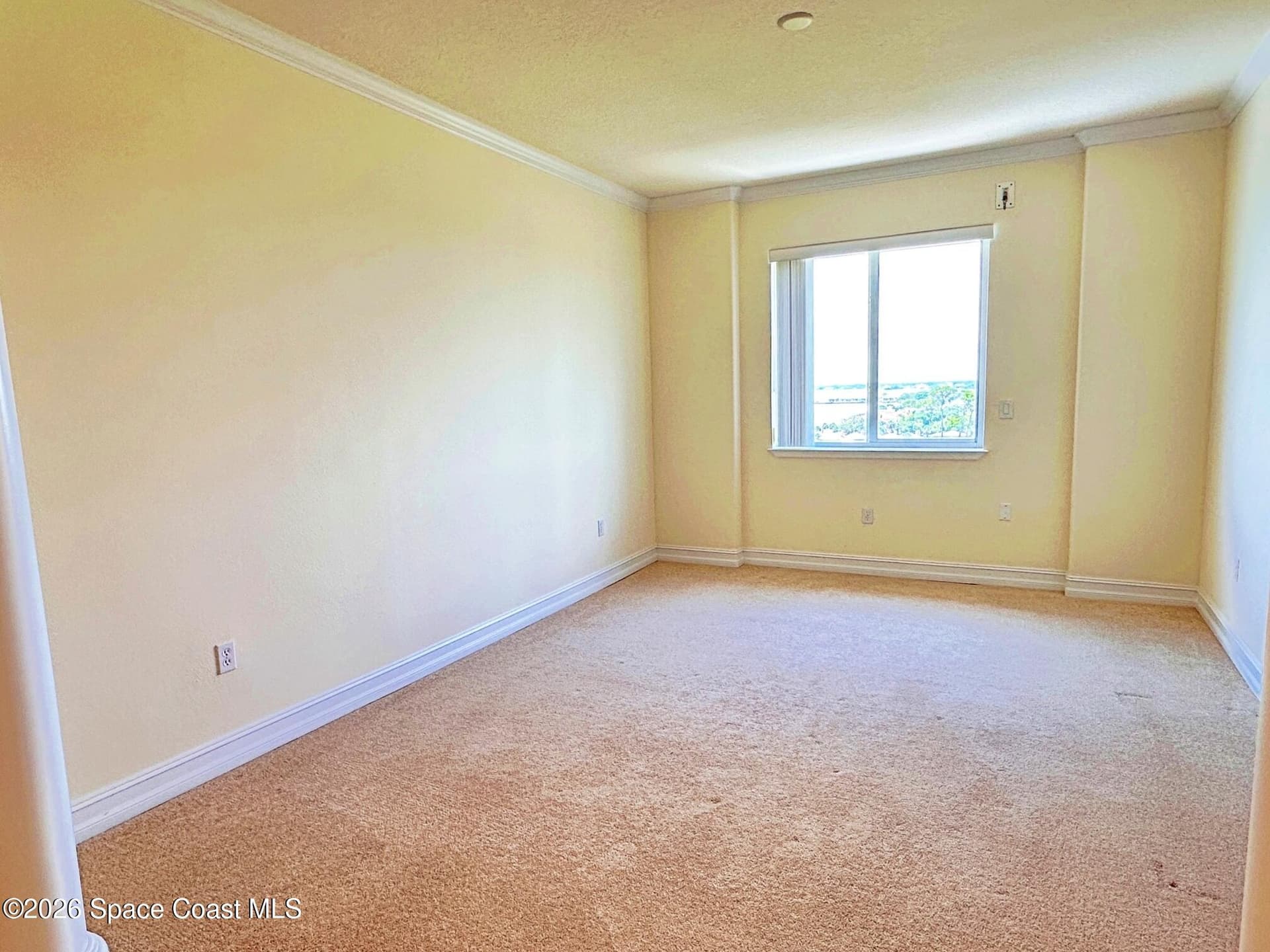 3205 S Washington Avenue 903b photo 17