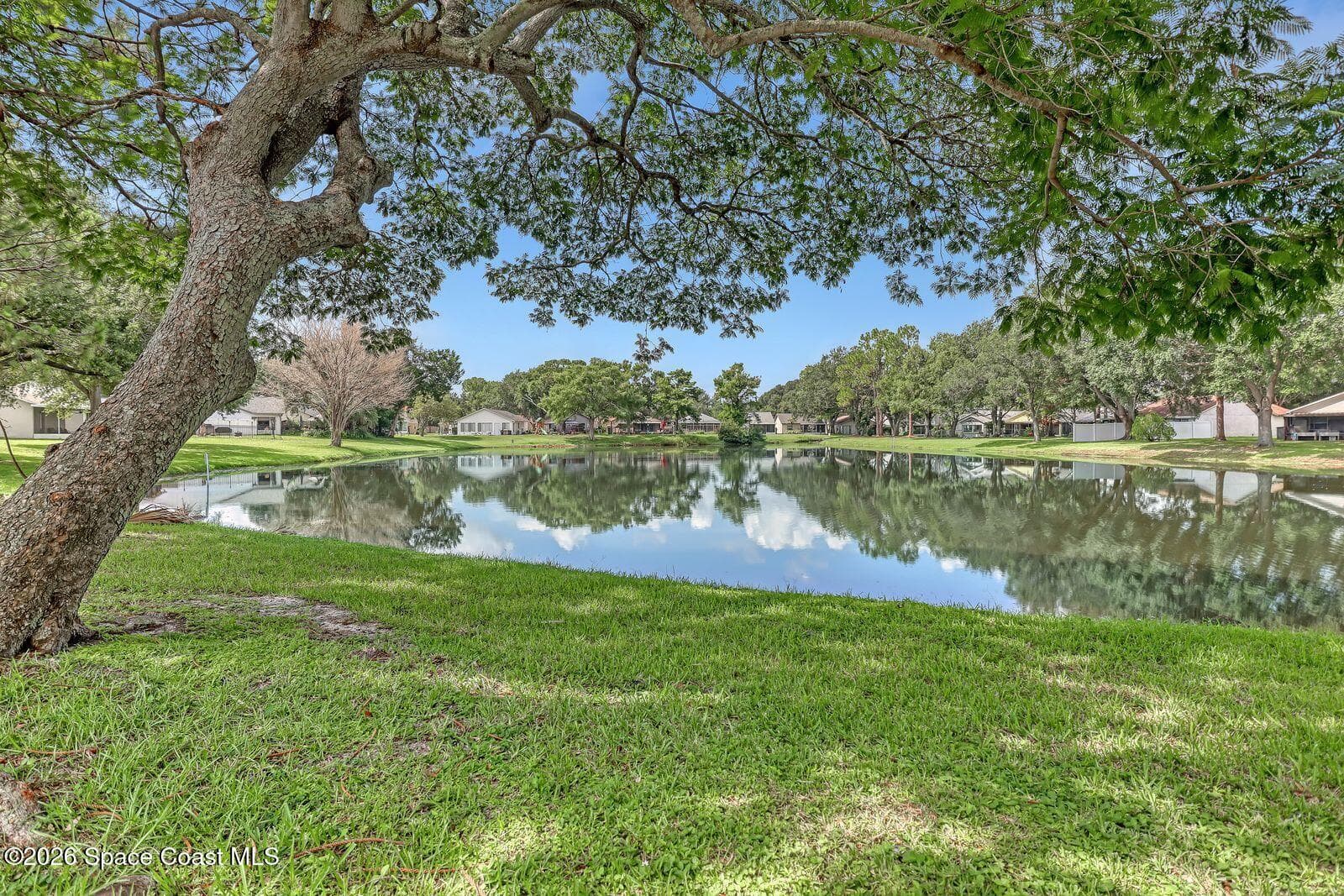 3113 Winchester Drive photo 20