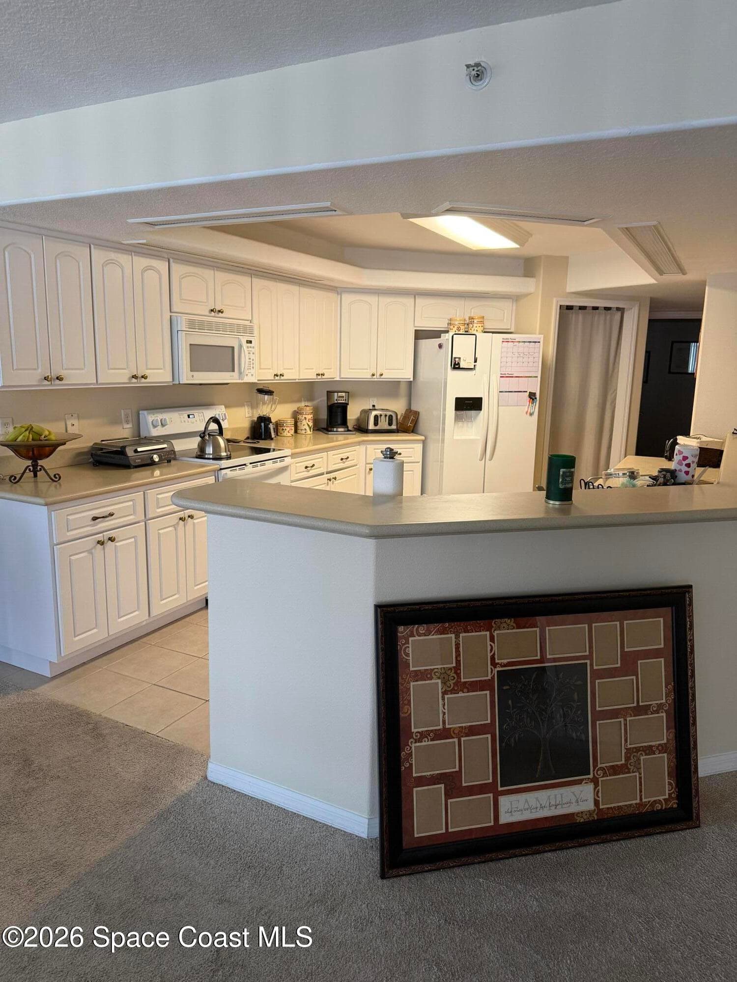 8914 Puerto Del Rio Drive 403 photo 5