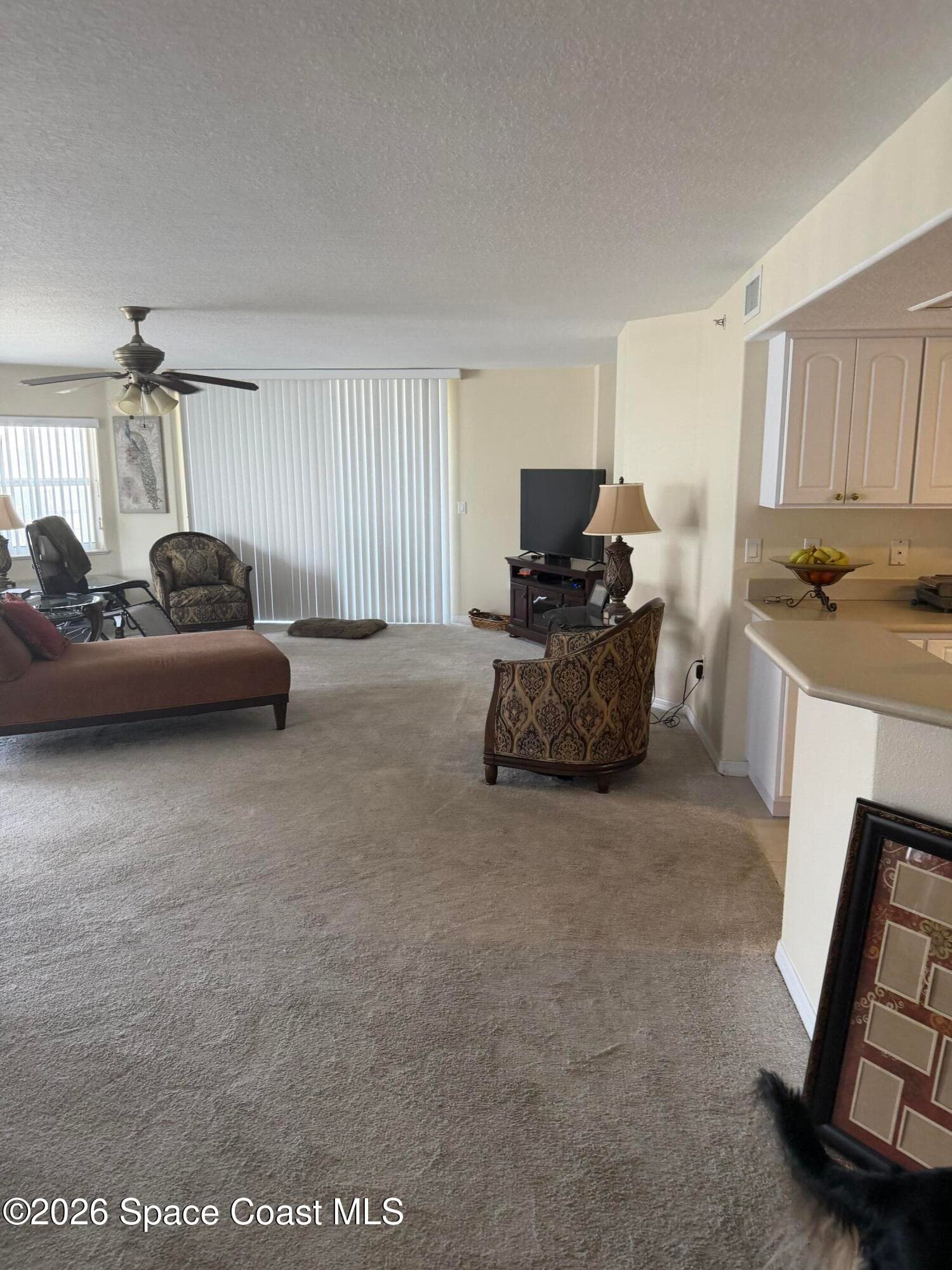 8914 Puerto Del Rio Drive 403 photo 8