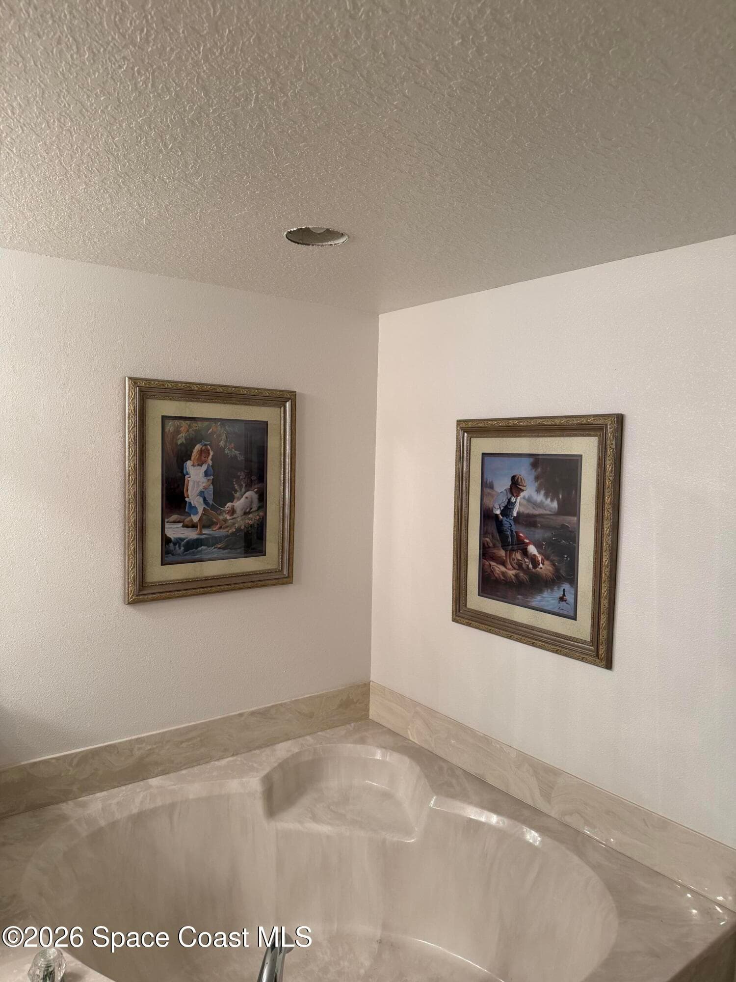 8914 Puerto Del Rio Drive 403 photo 15