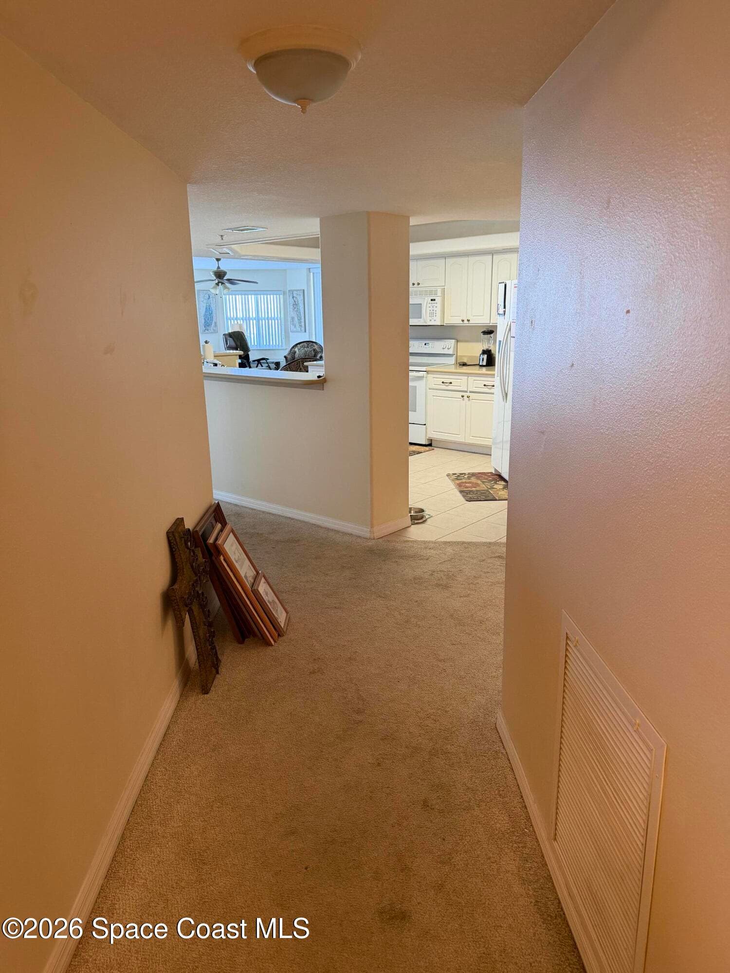 8914 Puerto Del Rio Drive 403 photo 10