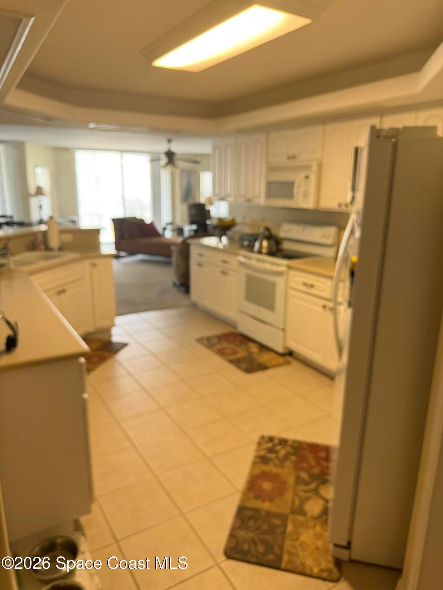 8914 Puerto Del Rio Drive 403 photo 6