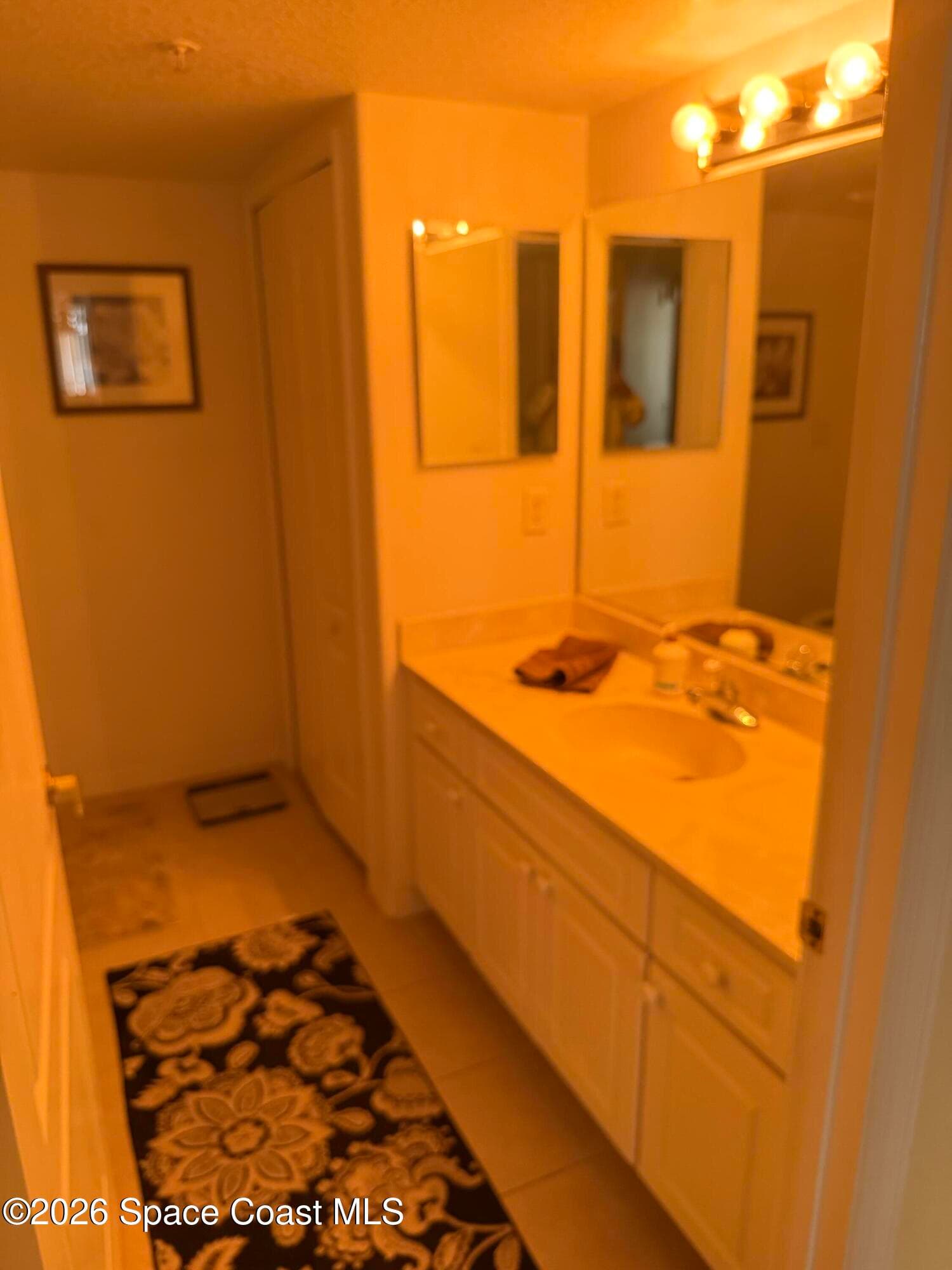 8914 Puerto Del Rio Drive 403 photo 17