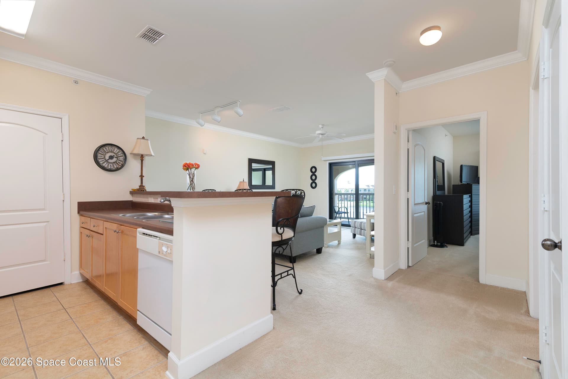 6451 Borasco Drive 3611 photo 5