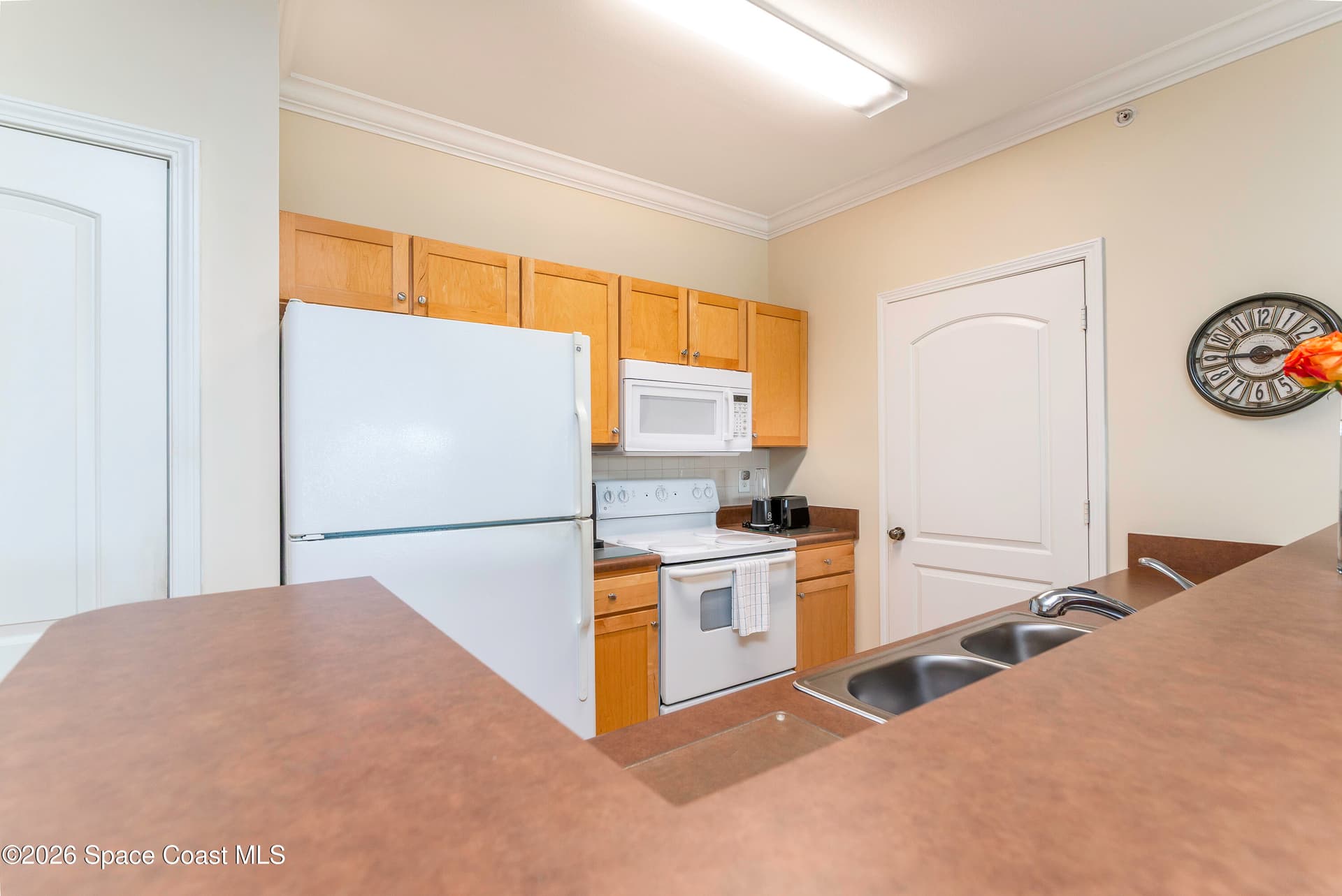 6451 Borasco Drive 3611 photo 6