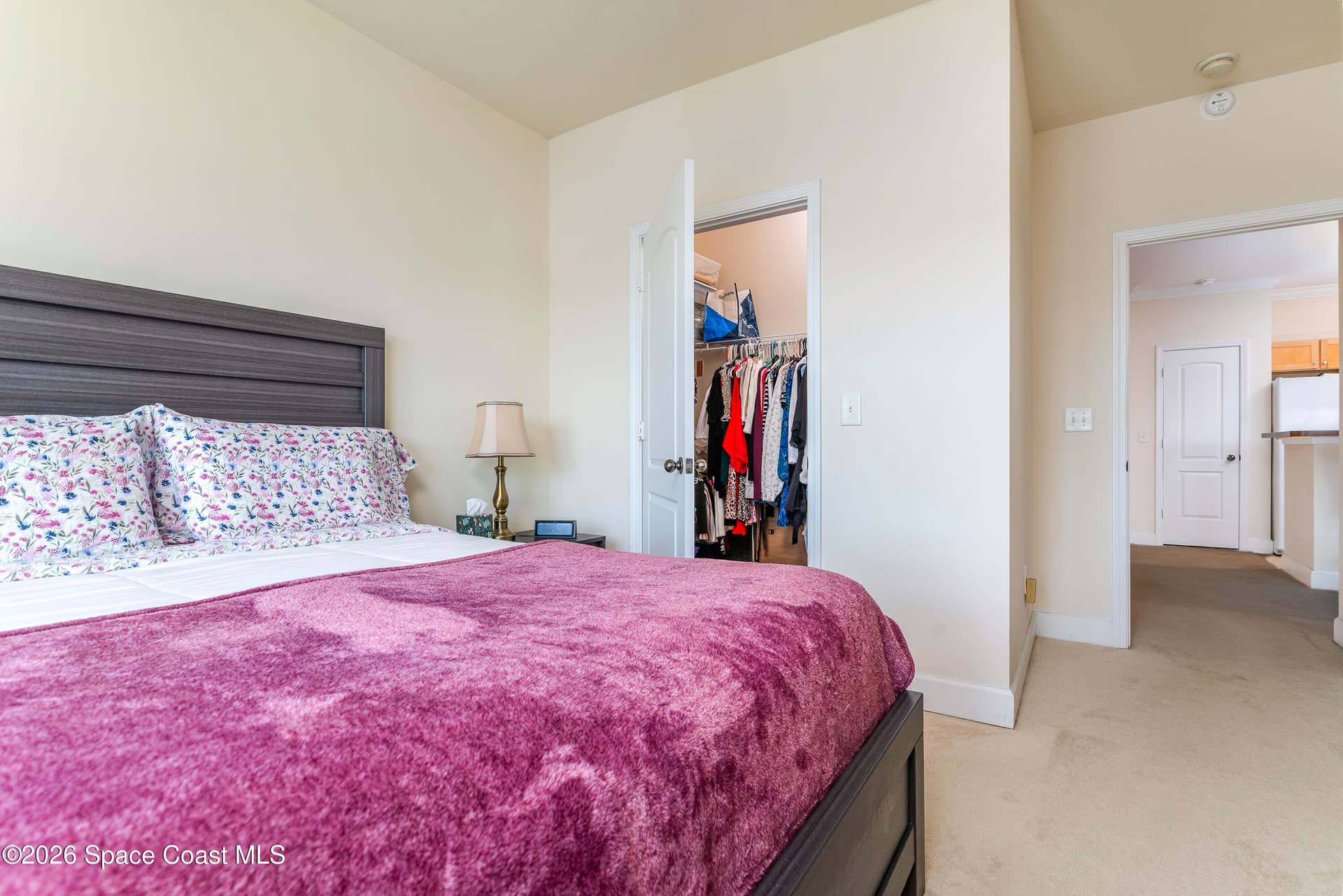 6451 Borasco Drive 3611 photo 17