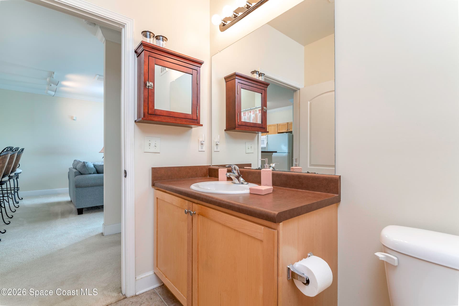 6451 Borasco Drive 3611 photo 20