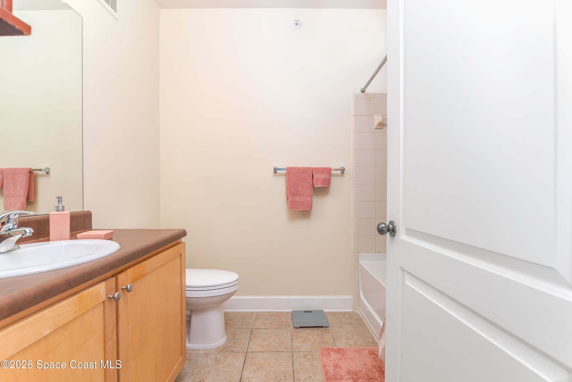 6451 Borasco Drive 3611 photo 22