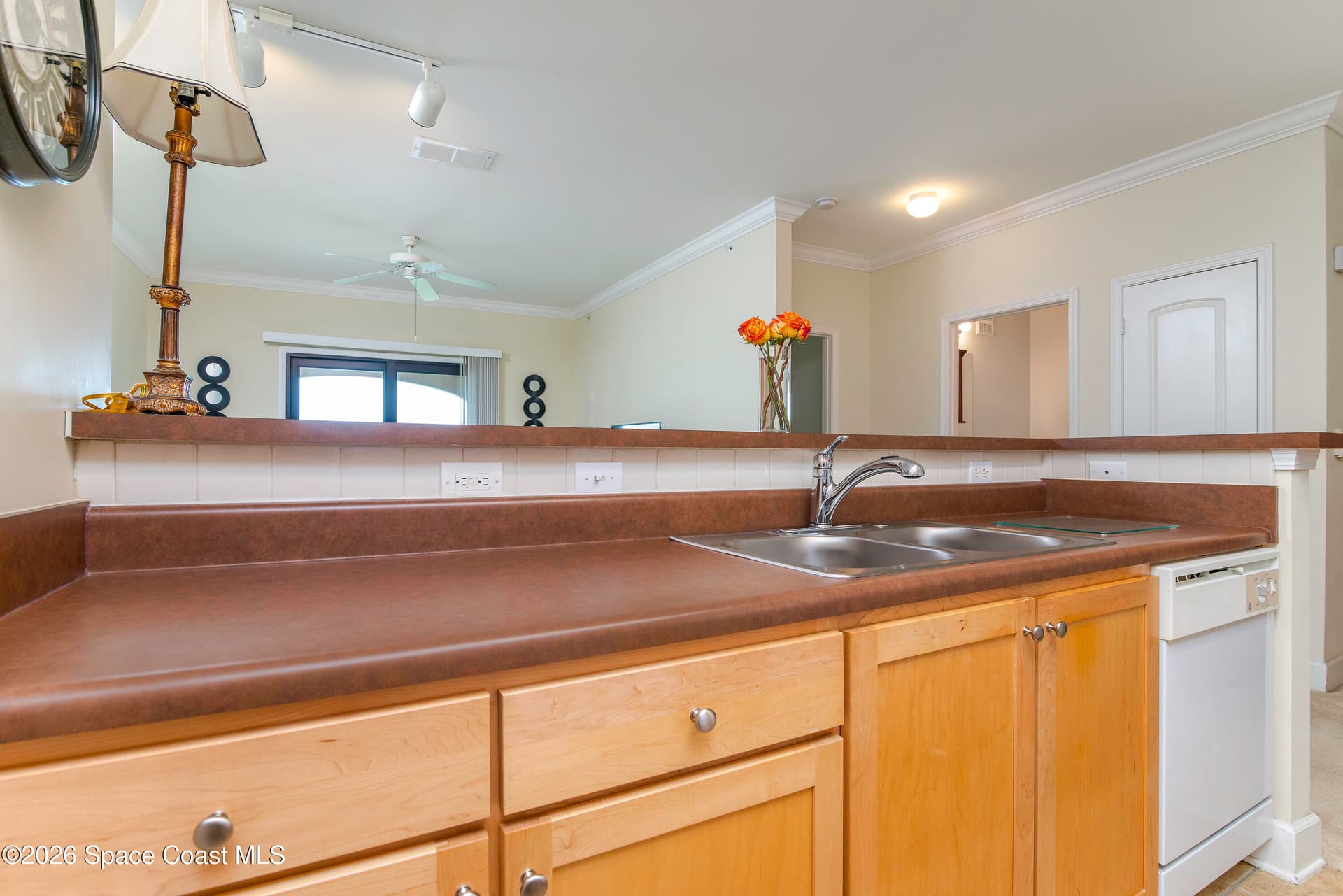 6451 Borasco Drive 3611 photo 16