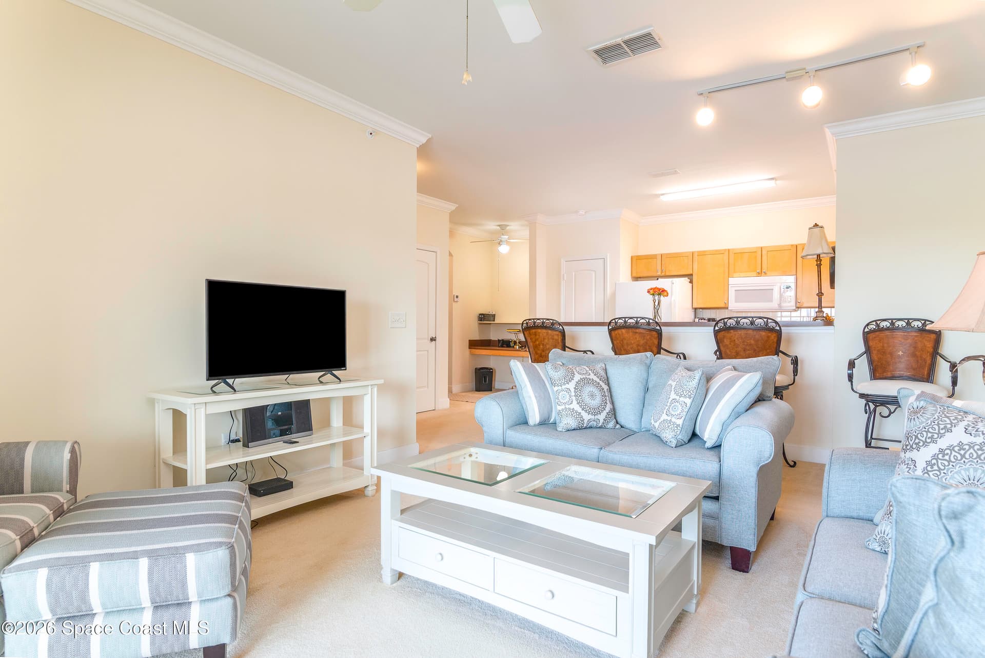 6451 Borasco Drive 3611 photo 14