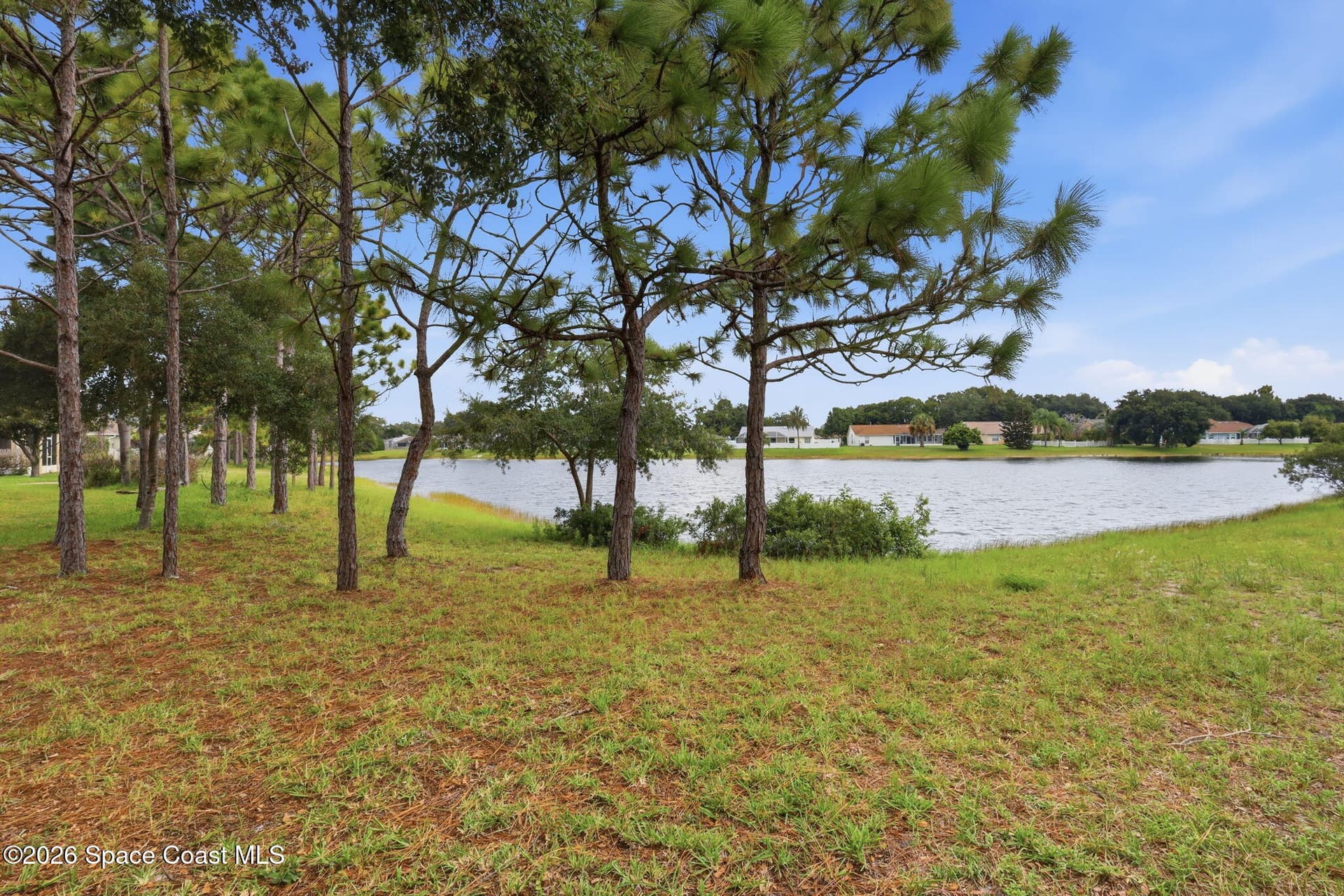 3020 Constellation Drive photo 8