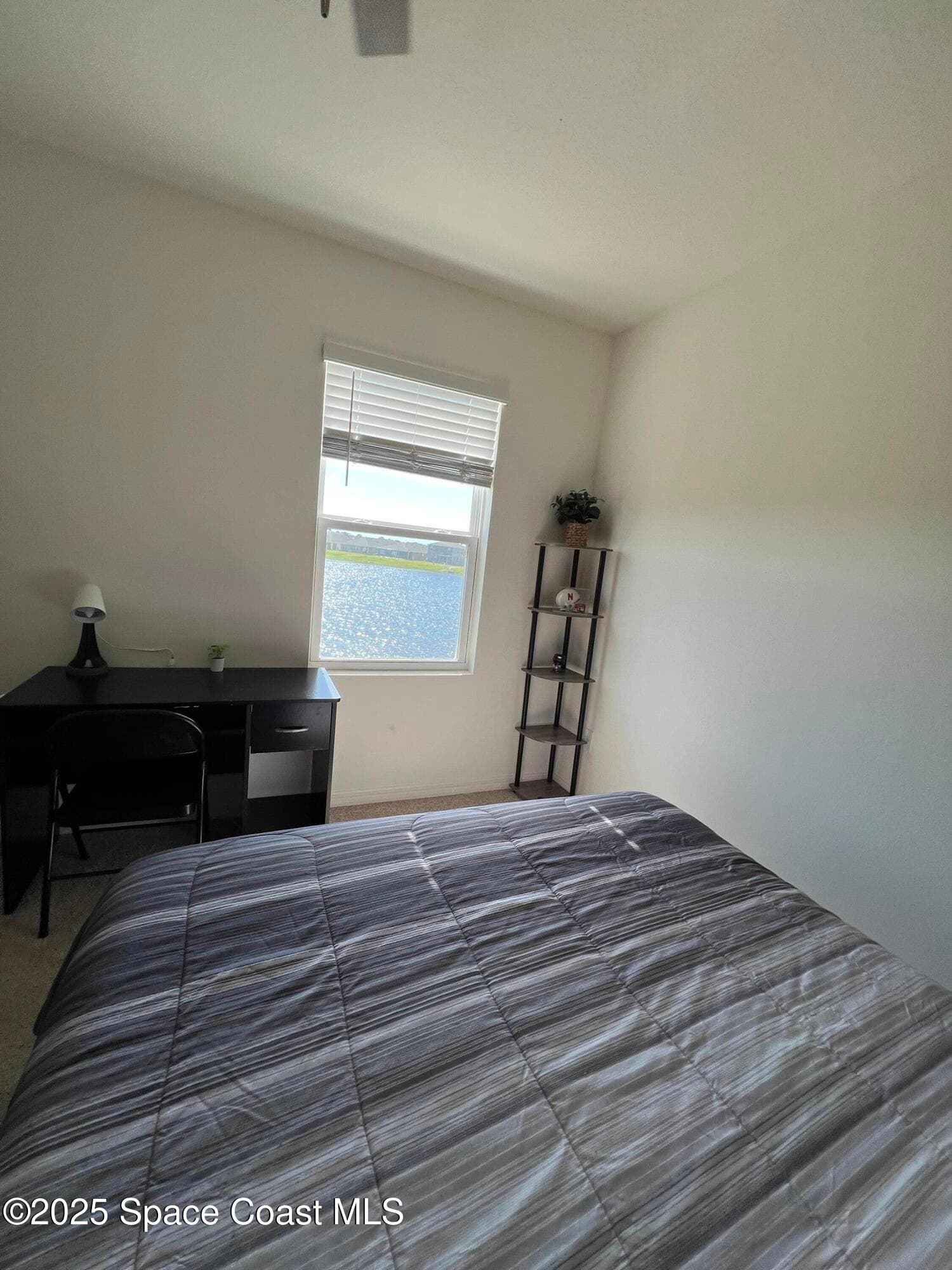 976 Trinity Street photo 24