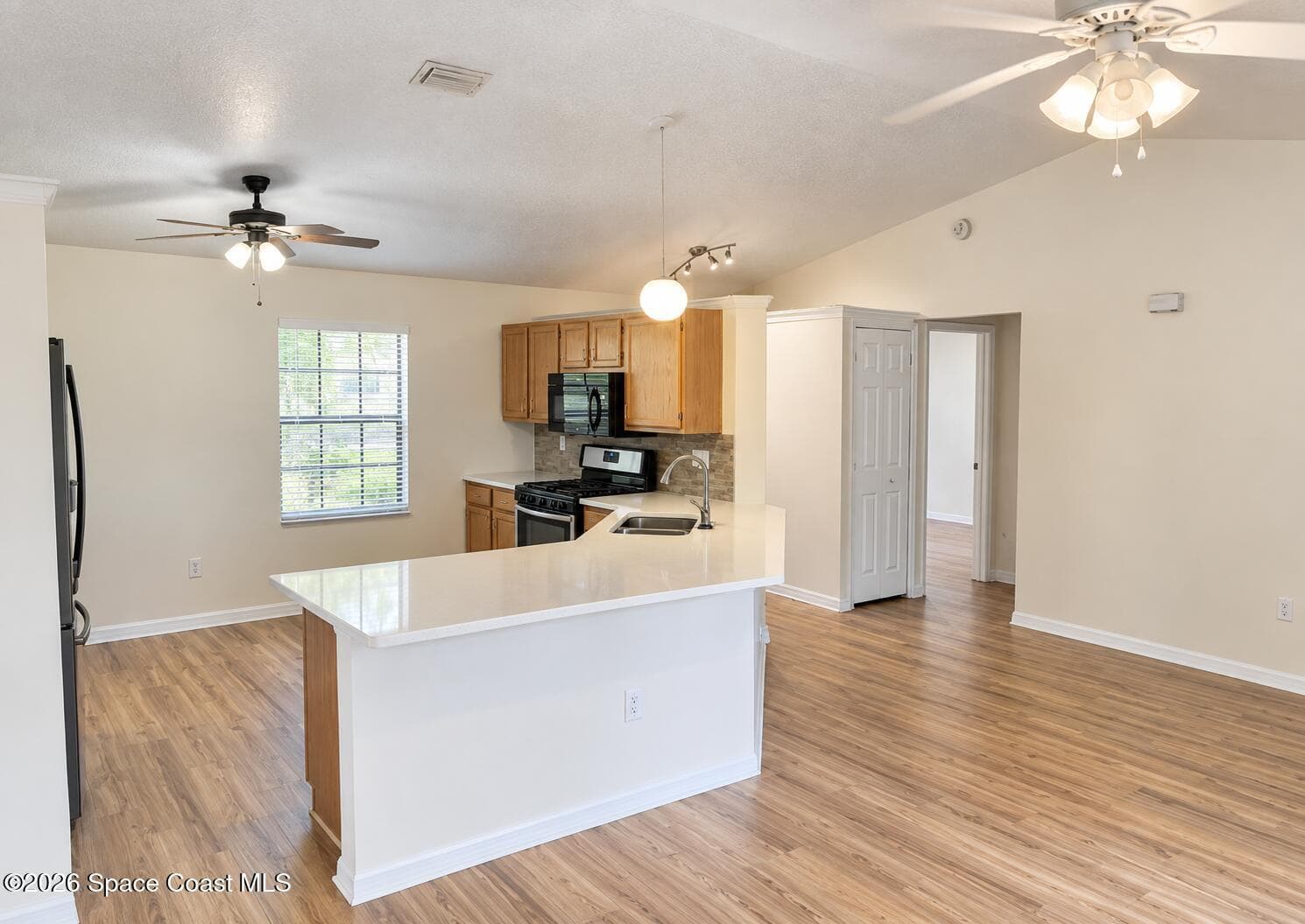 6946 Hammock Lakes Drive photo 2
