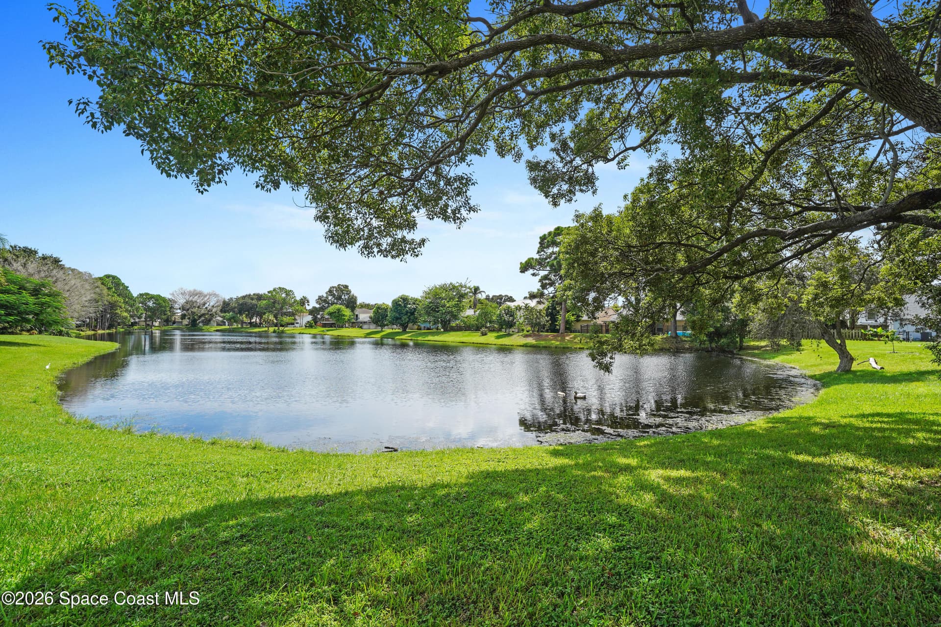 1563 Dandelion Drive photo 8