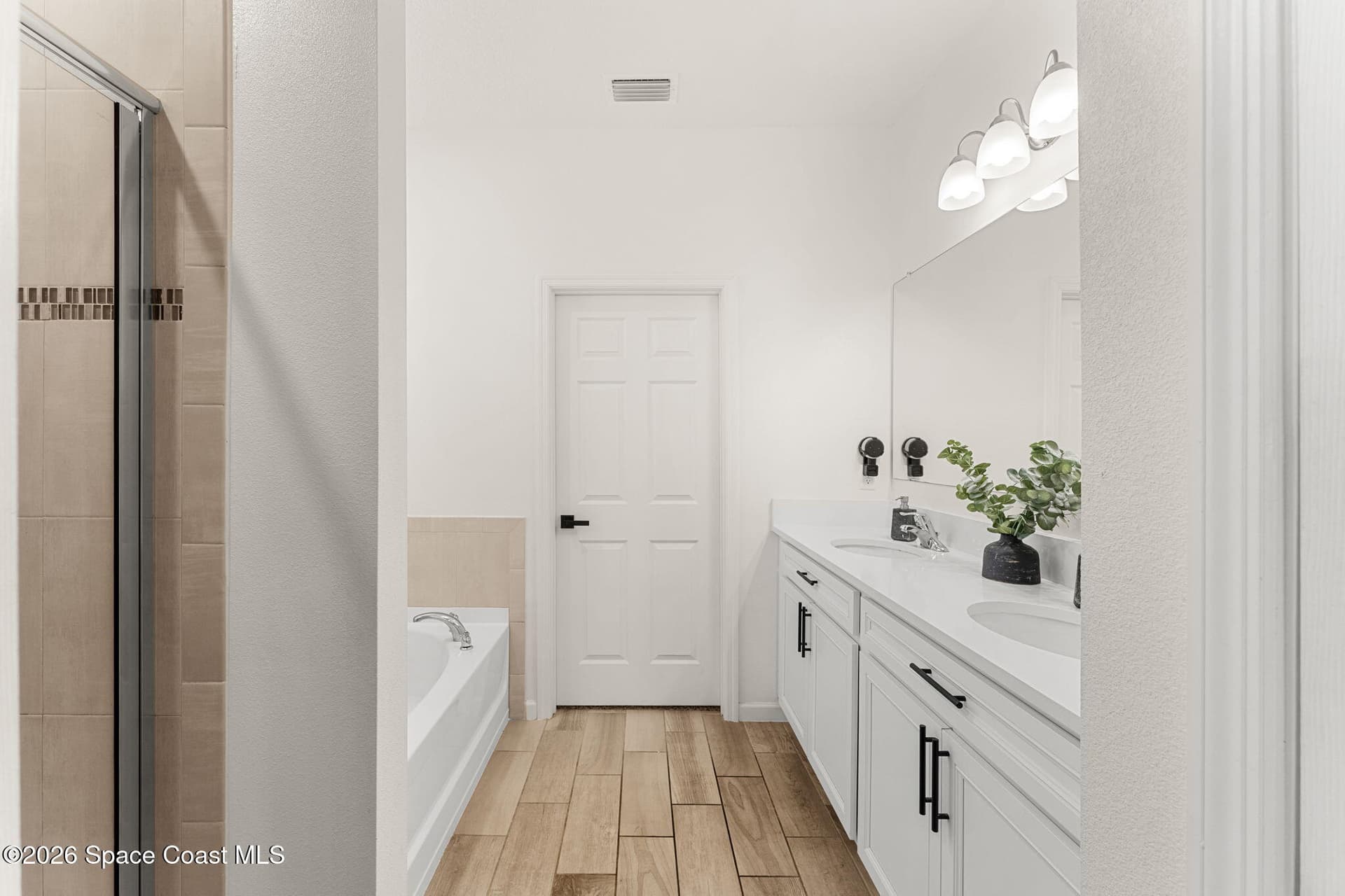 250 Wiregrass Avenue photo 15