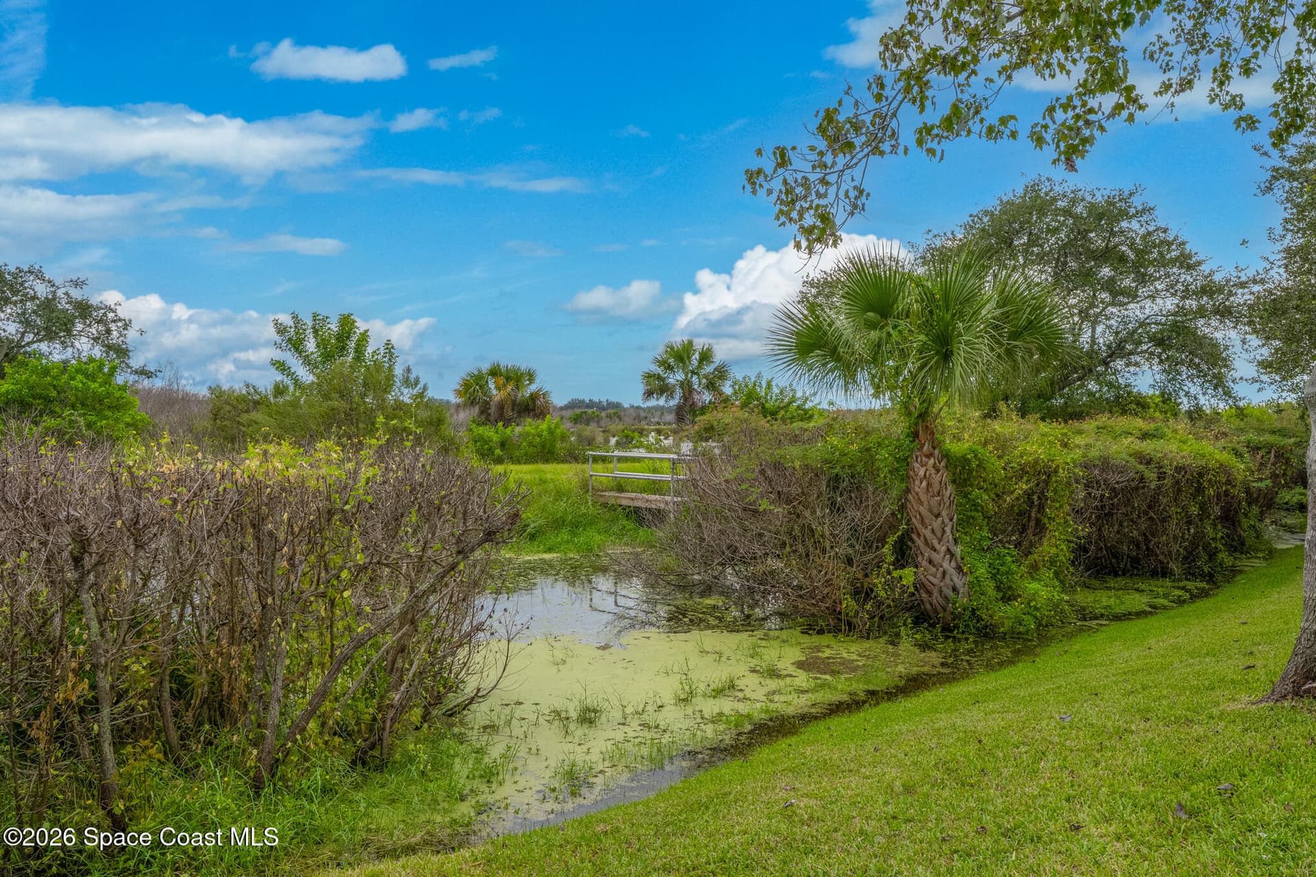 4381 Timothy Drive photo 5