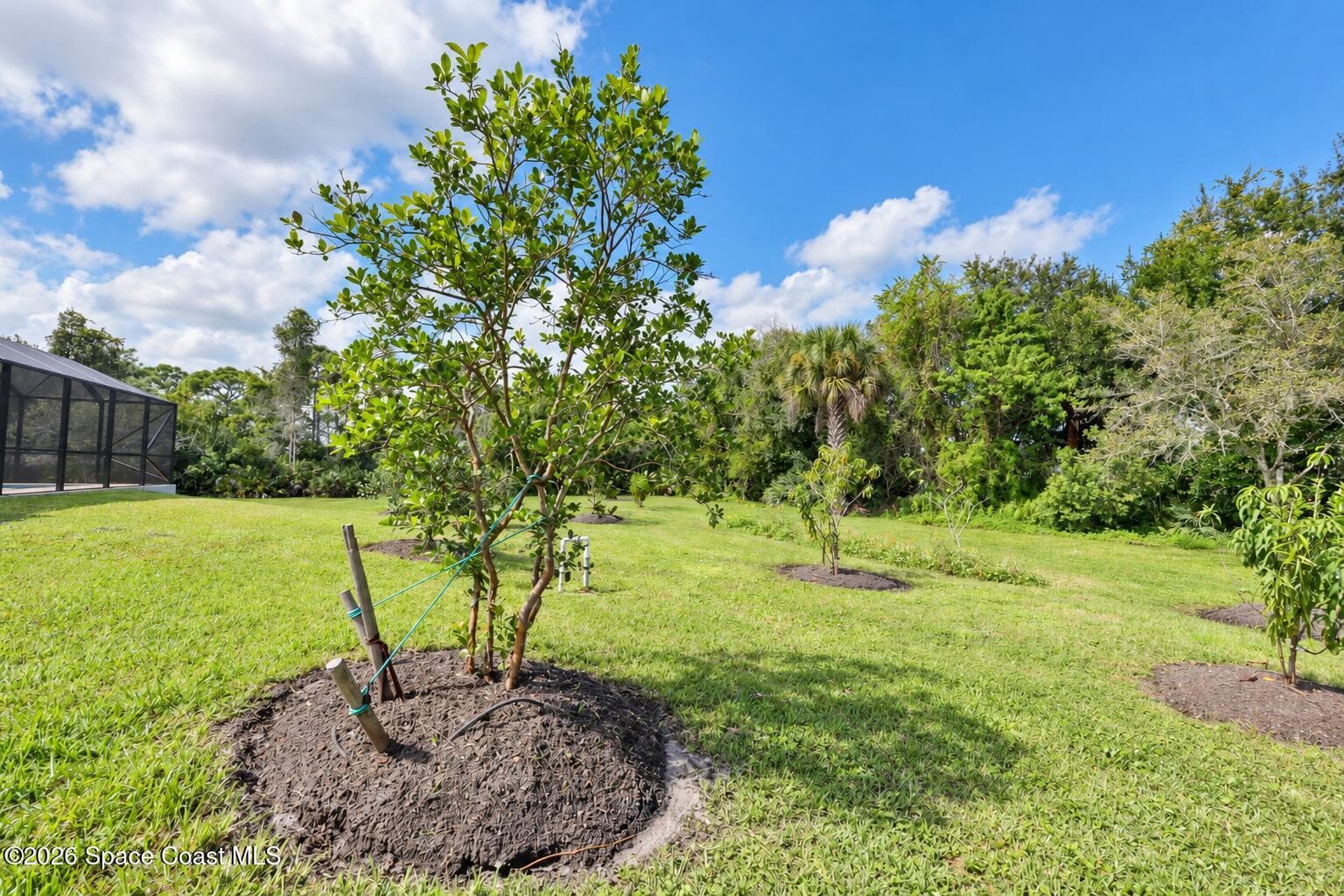 3120 Corey Road photo 21