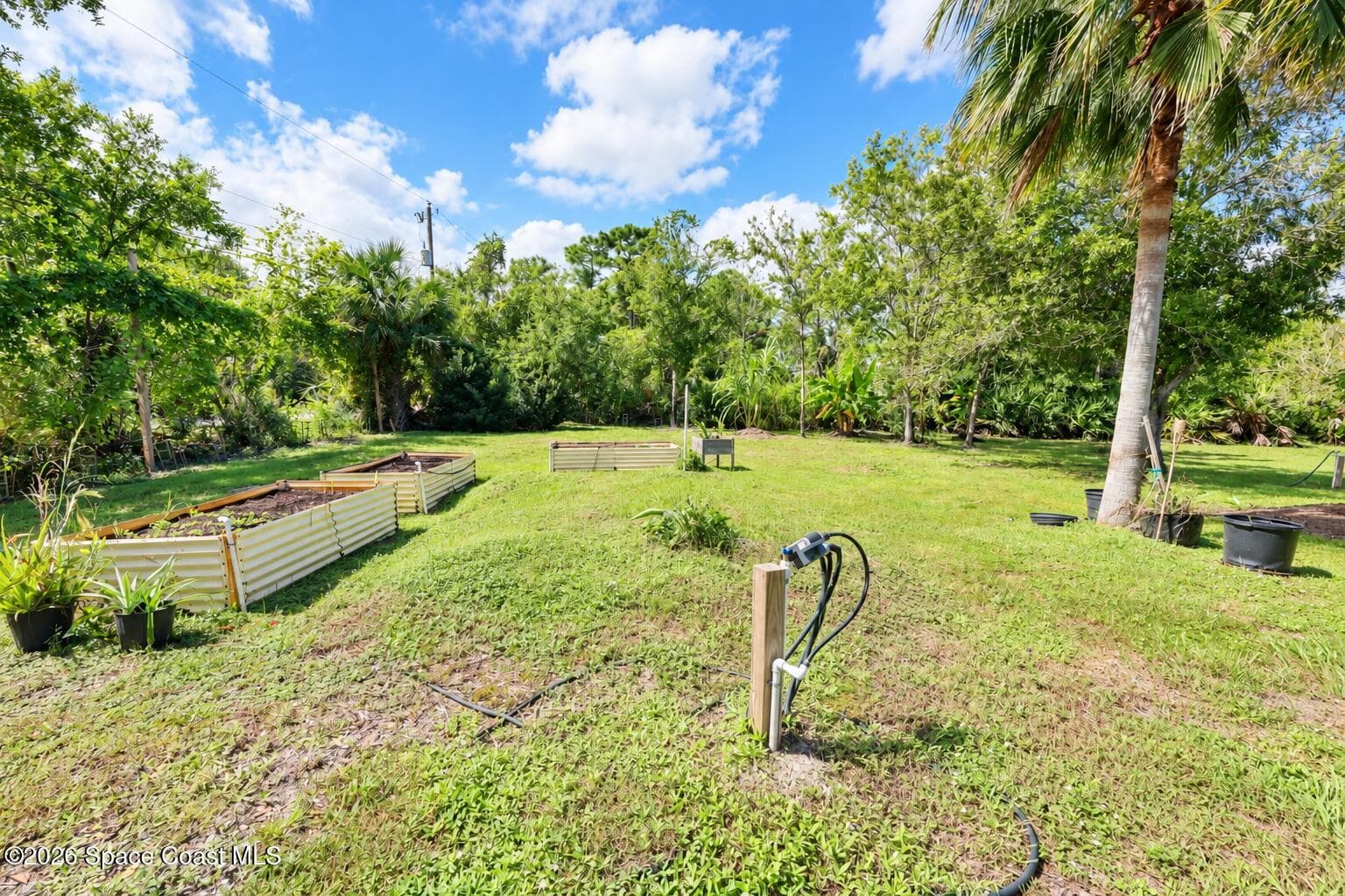 3120 Corey Road photo 25