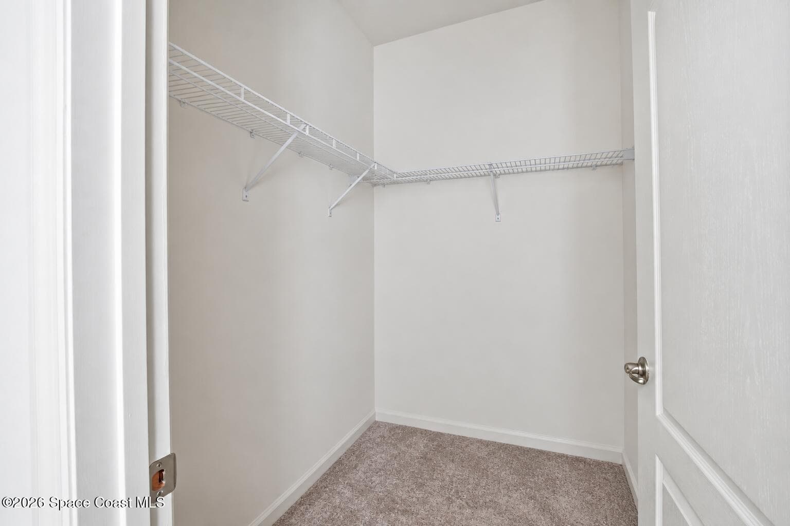 4324 Caladium Circle photo 25