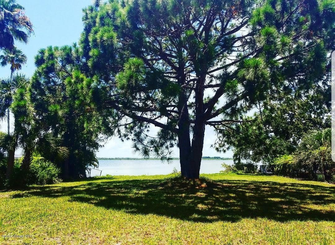 1095 Newfound Harbor Drive photo 2