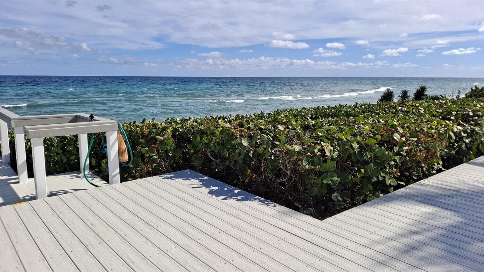 5500 Old Ocean Boulevard 202 photo 2