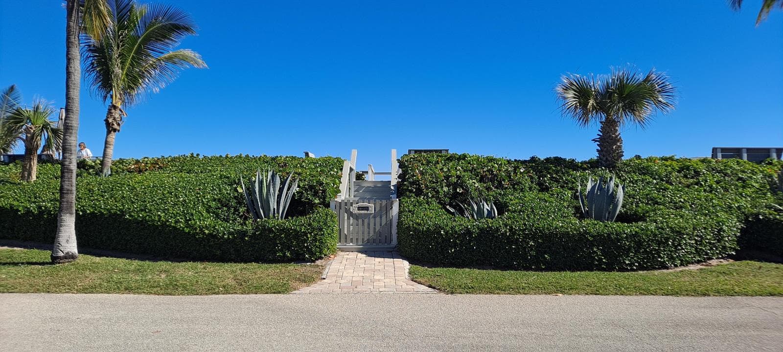 5500 Old Ocean Boulevard 202 photo 7