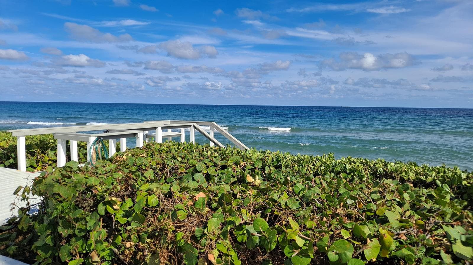 5500 Old Ocean Boulevard 202 photo 3