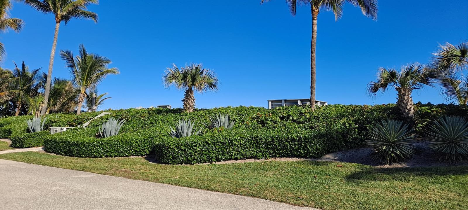 5500 Old Ocean Boulevard 202 photo 5