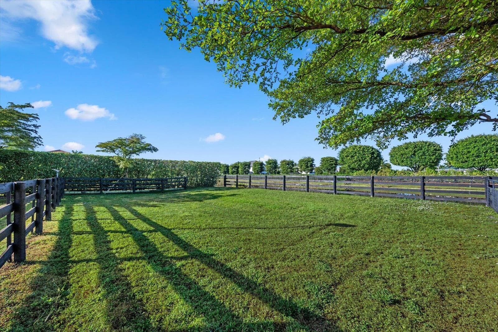 3601 Grand Prix Farms Drive photo 25