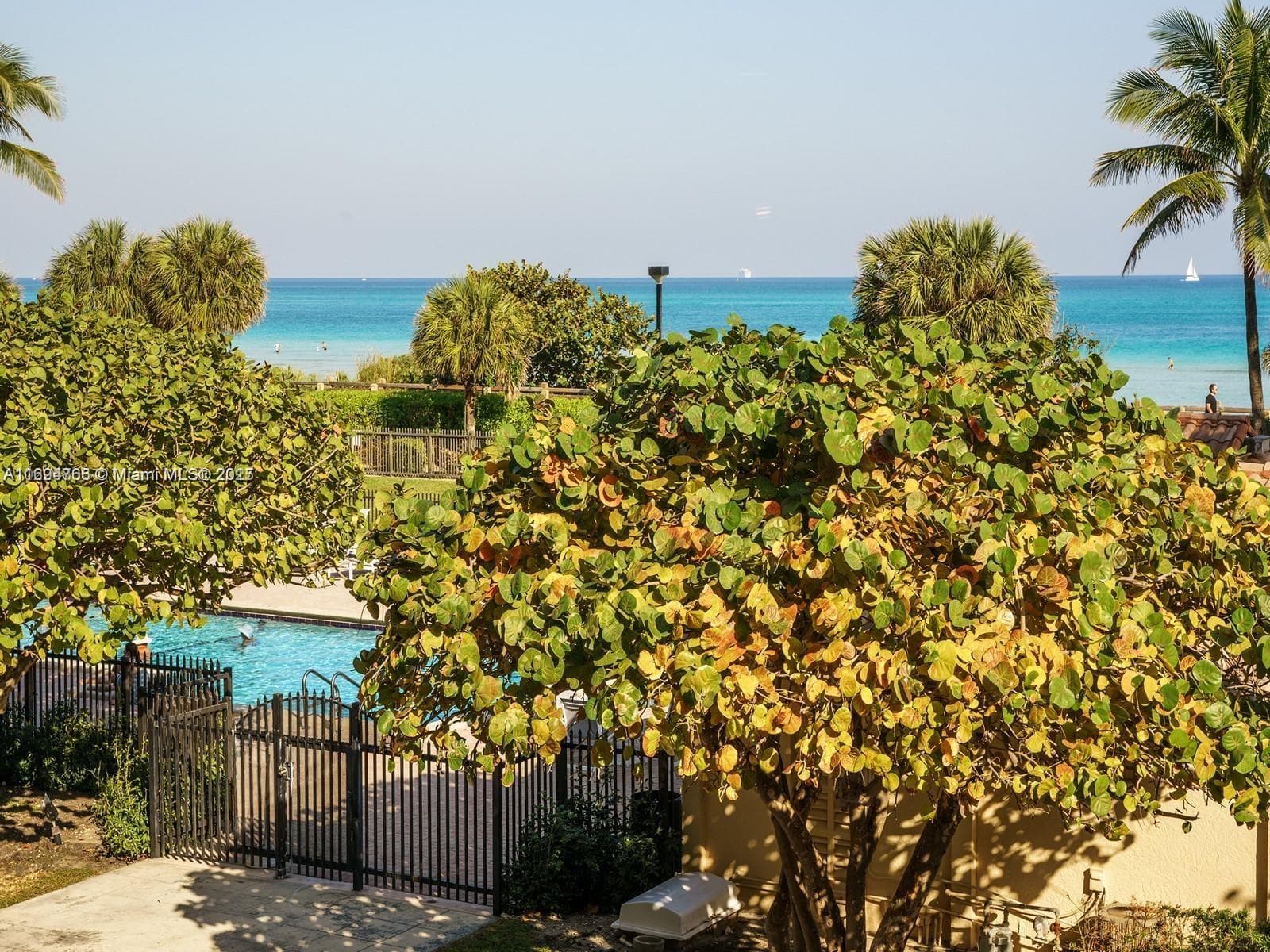 2555 Collins Ave 308 photo 4