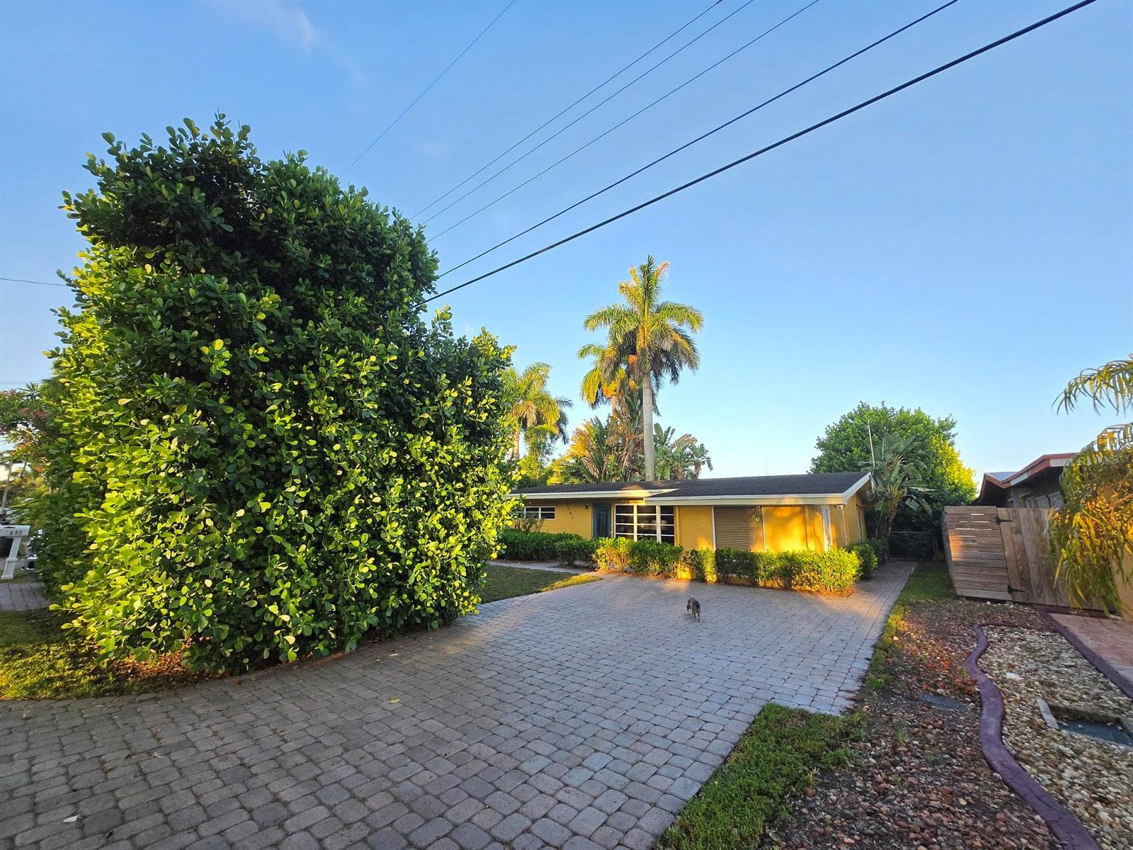 2503 Andros Lane photo 3