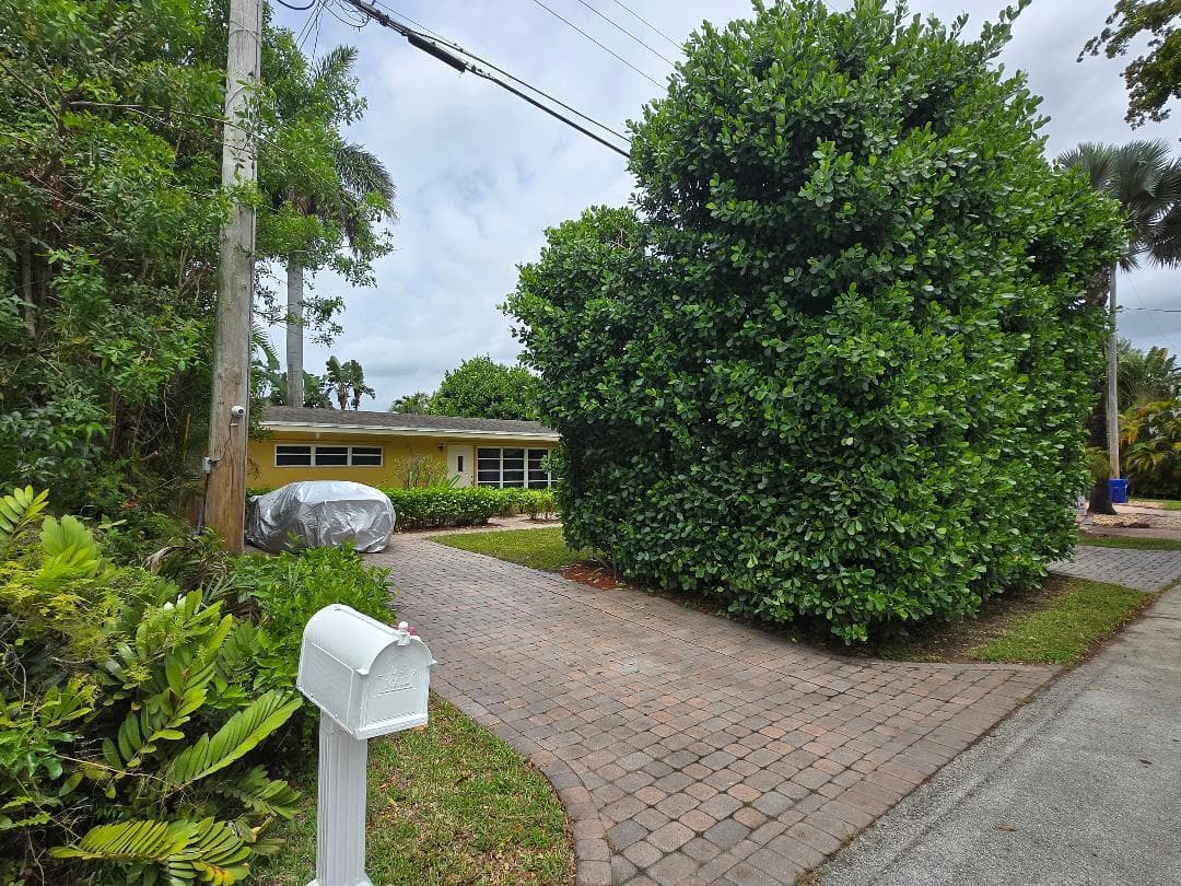 2503 Andros Lane photo 11