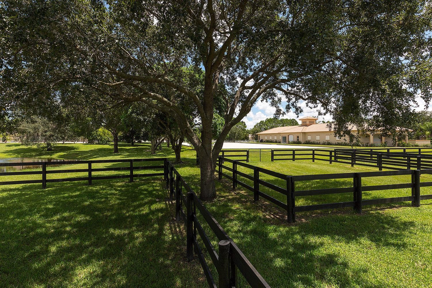 2088 Appaloosa Trail photo 24