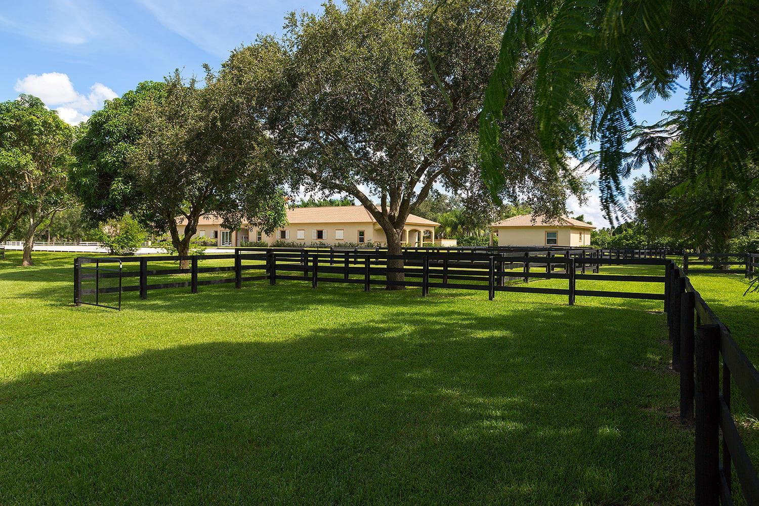 2088 Appaloosa Trail photo 14