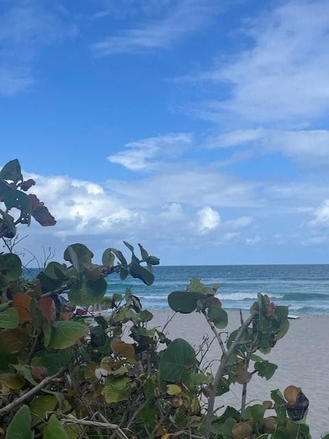 2080 S Ocean Drive 505 photo 2