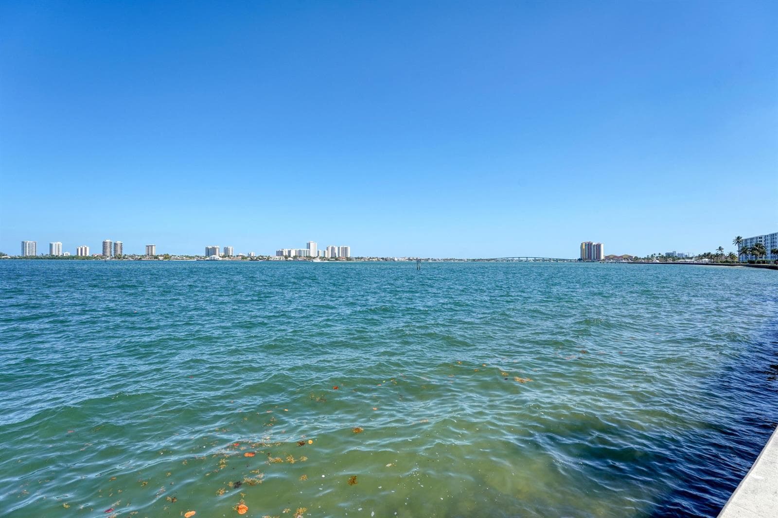 801 Lake Shore Drive 112 photo 25