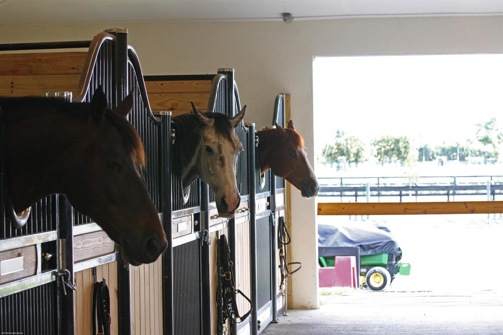 16028 Norris Road Stalls photo 10
