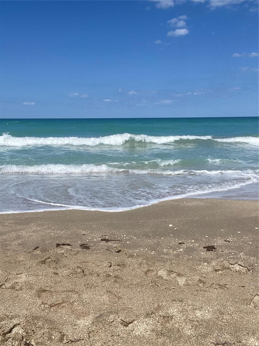 11000 S Ocean Dr 211 photo 18