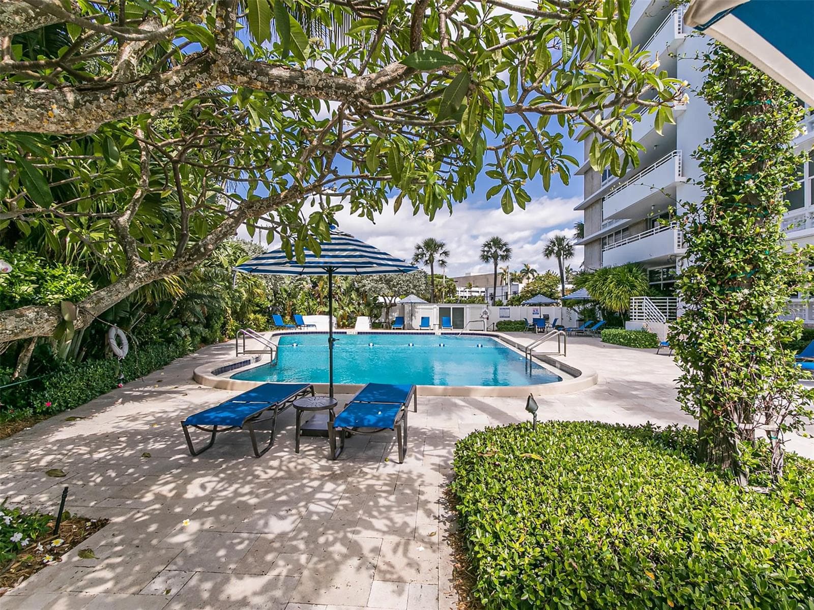 888 Intracoastal Drive 14F photo 21