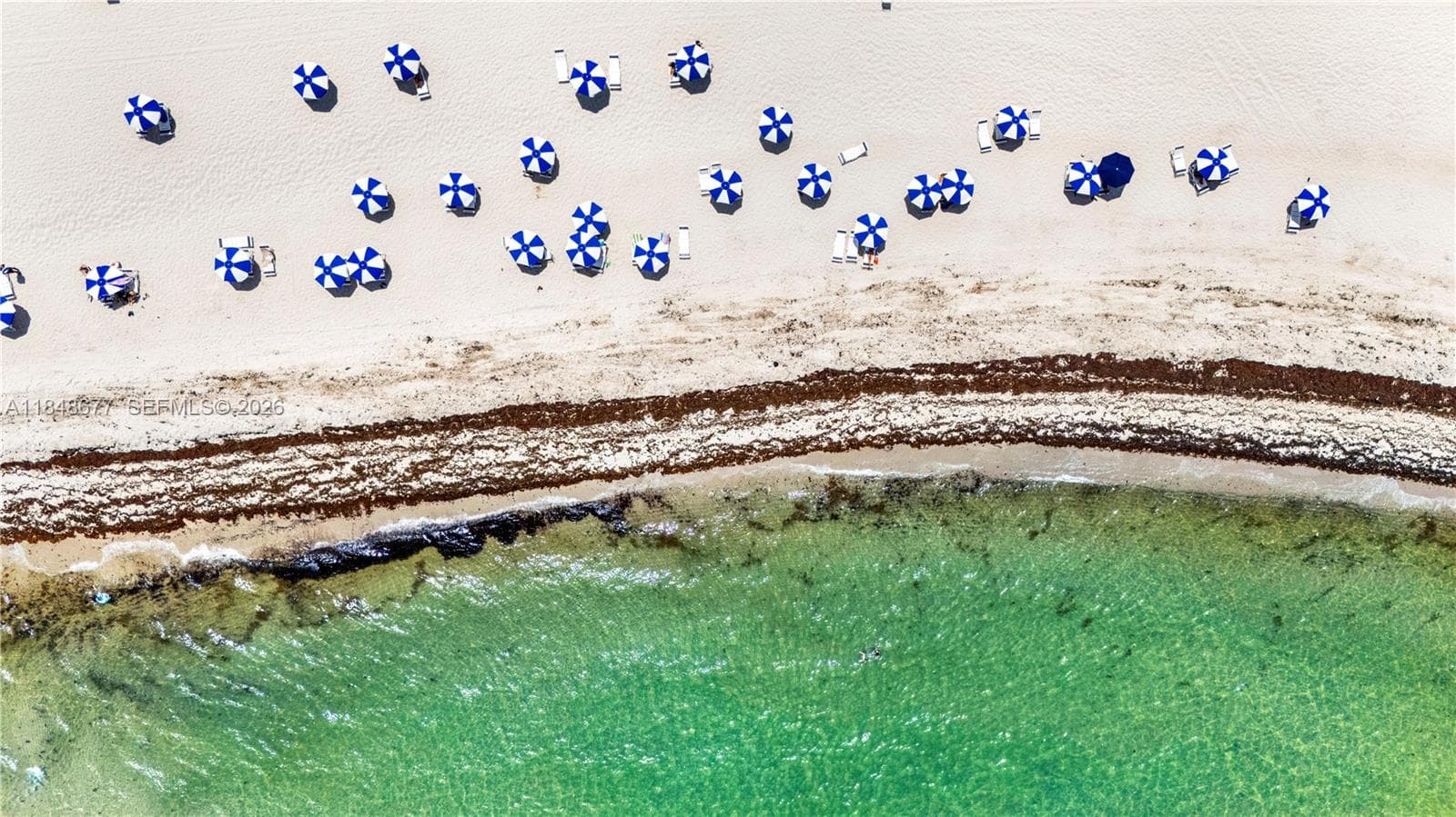 5161 Collins Ave 1110 photo 2