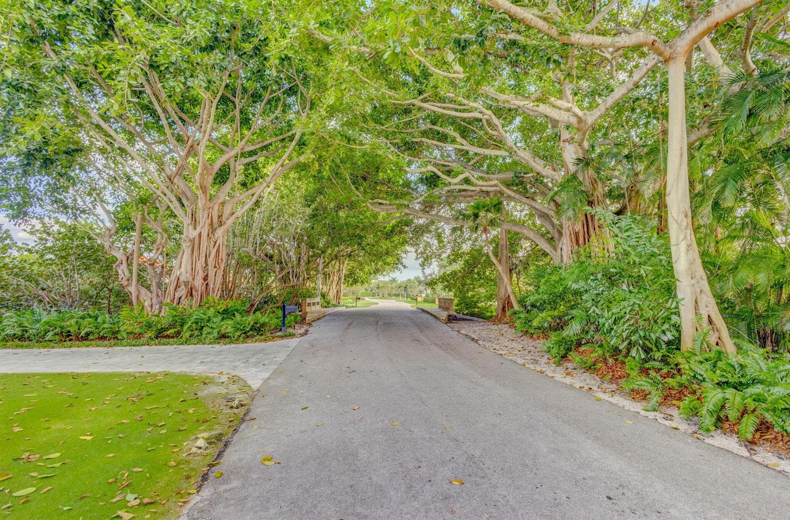 12404 Indian Road photo 10